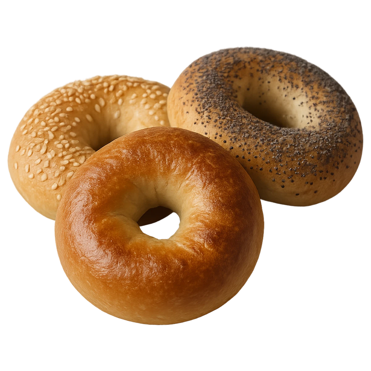 Bagel